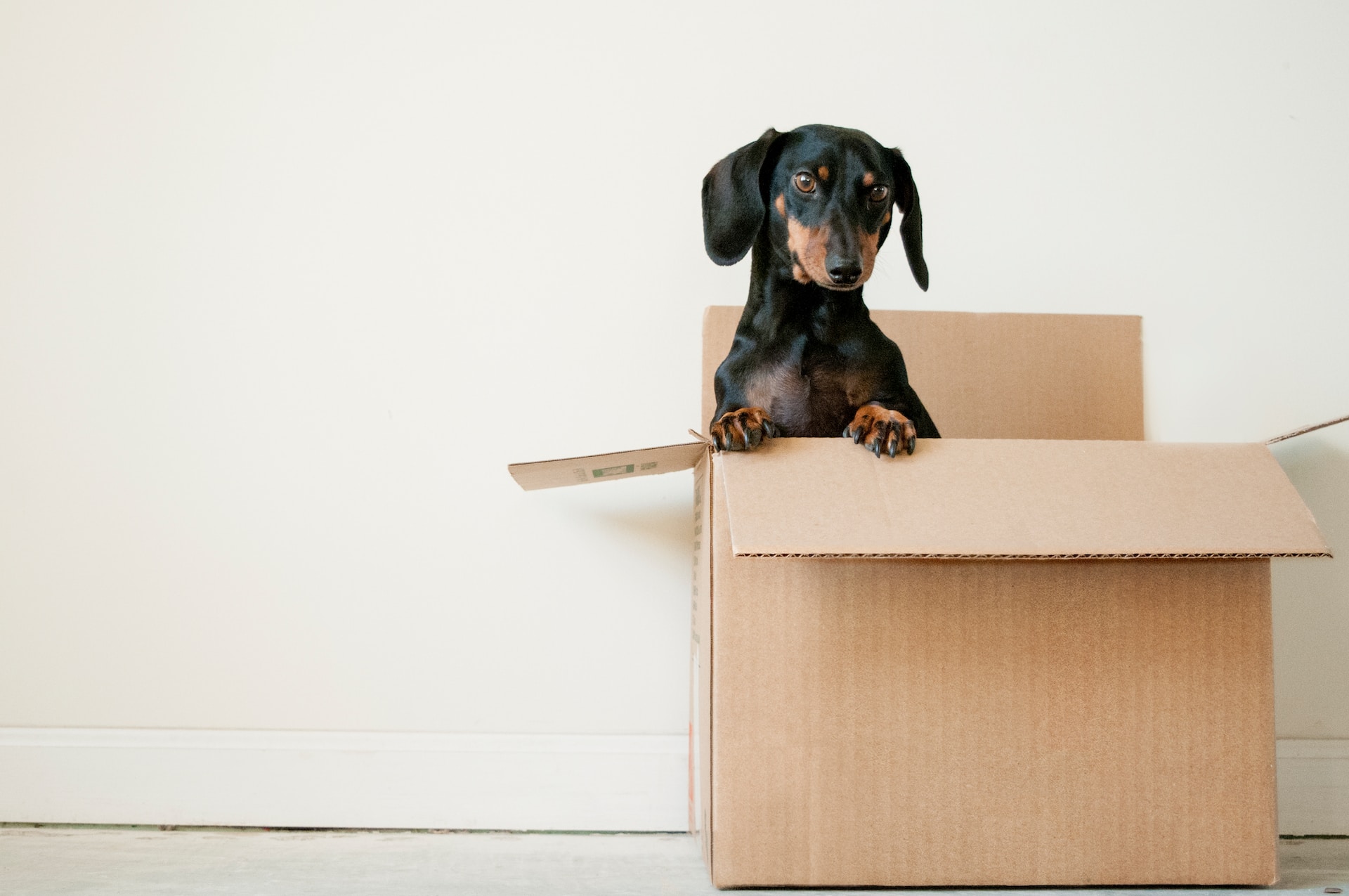 Casou, vai morar junto ou dividir apartamento? A EntregAli é pra todo mundo